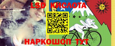 прущие грибы Камышлов
