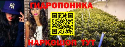 ECSTASY Кандалакша