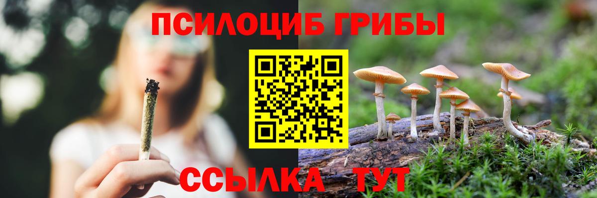 Псилоцибиновые грибы Cubensis  хочу   Красный Сулин  Галлюциногенные грибы ЛСД  Вход с VPN 